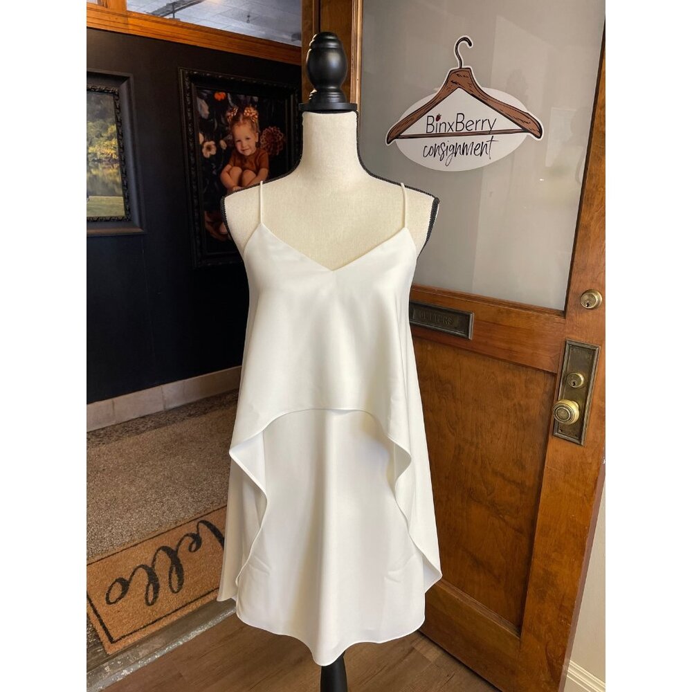 WHBM Ruffle Drama Dress (2)